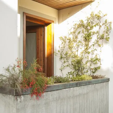 Loft In *